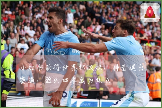 小红书获得世界杯版权，抖音退出赛道，盈利回本成为焦点