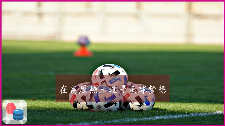在高原热土追寻足球梦想